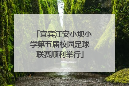 宜宾江安小坝小学第五届校园足球联赛顺利举行